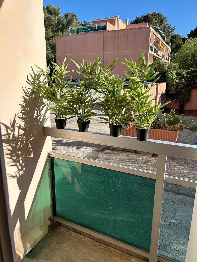 Studio Meuble Bord De Mer Bormes-les-Mimosas Zewnętrze zdjęcie